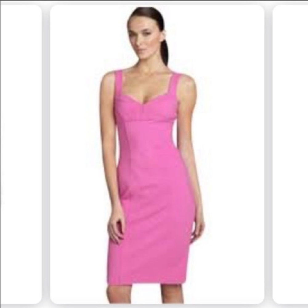 Diane Von Furstenberg Heron Pink Fitted dress SZ 0
